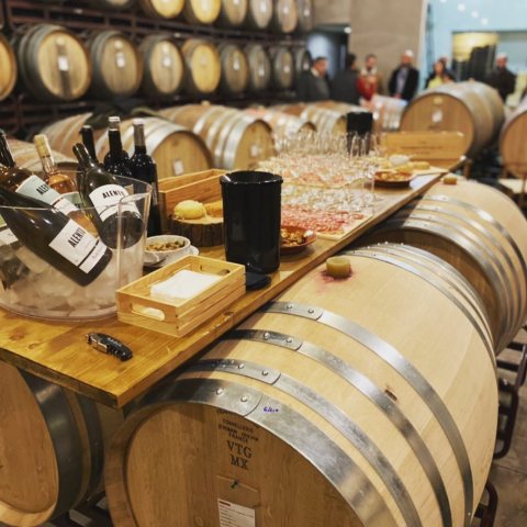 Estremoz wine tasting