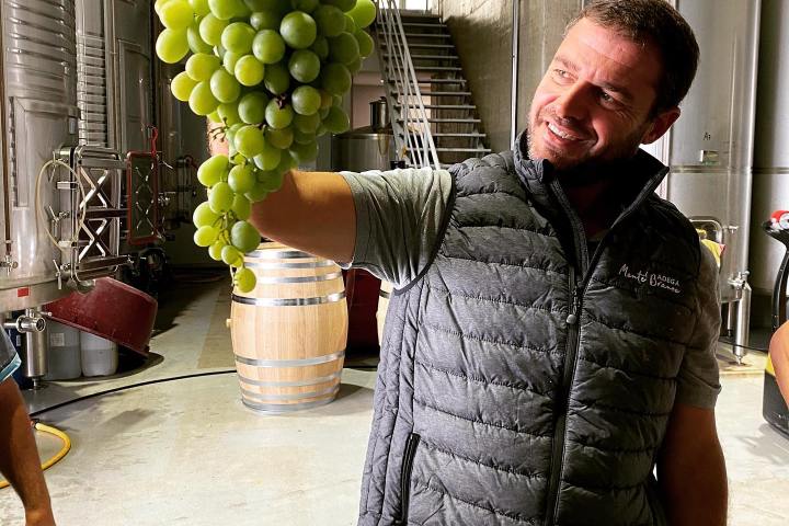 Estremoz wine tasting