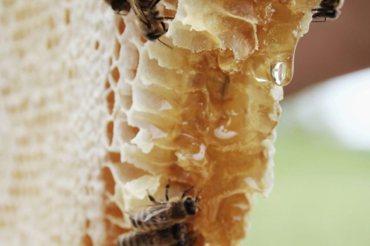 a piece of cake sitting on top of a nest