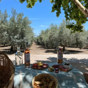 Olive Oil Farm Picnic
