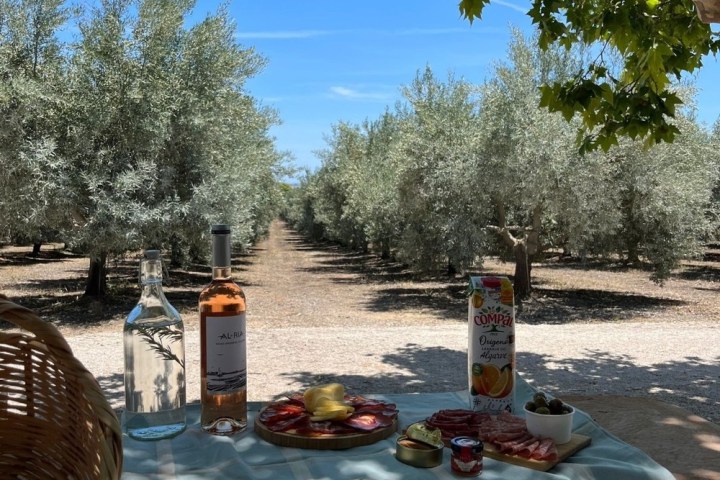 Olive Oil Farm Picnic