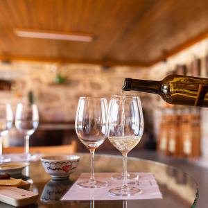 vinho verde wine tour