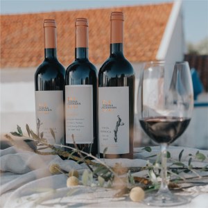 Montemor-o-Novo Wine Tasting