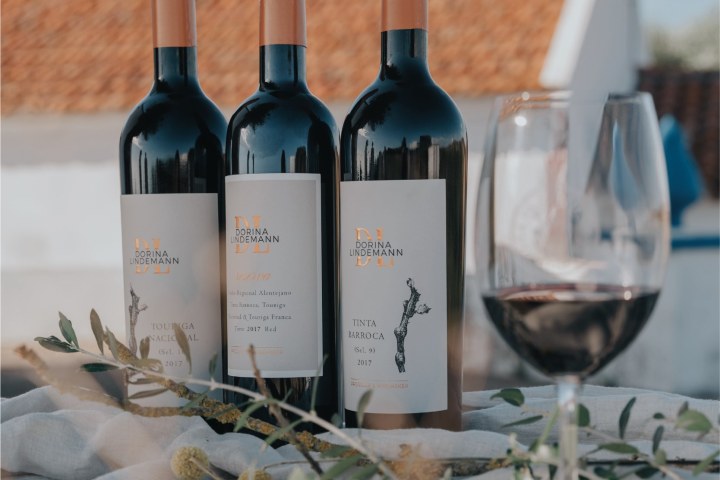 Montemor-o-Novo Wine Tasting