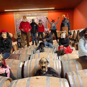 Montemor-o-Novo Wine Tasting