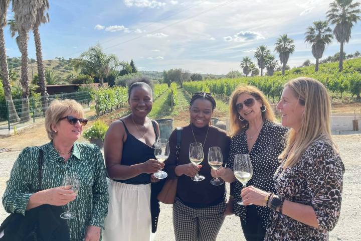 Montemor-o-Novo Wine Tasting