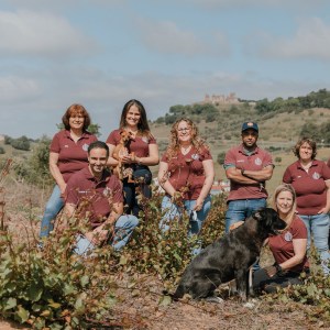 Montemor-o-Novo Wine Tasting