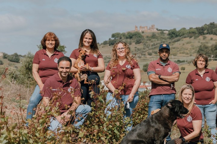 Montemor-o-Novo Wine Tasting