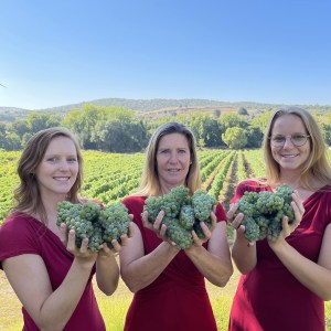 Montemor-o-Novo Wine Tasting