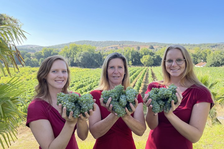 Montemor-o-Novo Wine Tasting