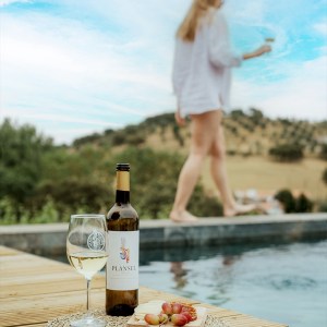 Montemor-o-Novo Wine Tasting