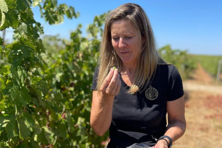 Montemor-o-Novo Wine Tasting