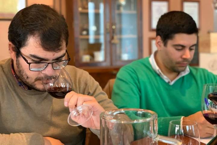 Montemor-o-Novo Wine Tasting