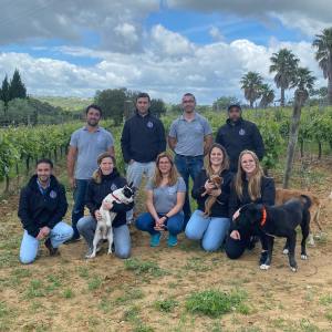 Montemor-o-Novo Wine Tasting