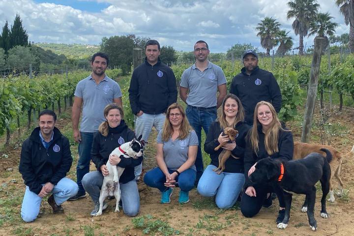 Montemor-o-Novo Wine Tasting