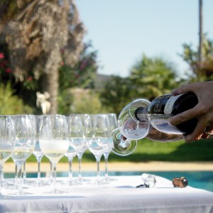 Montemor-o-Novo Wine Tasting