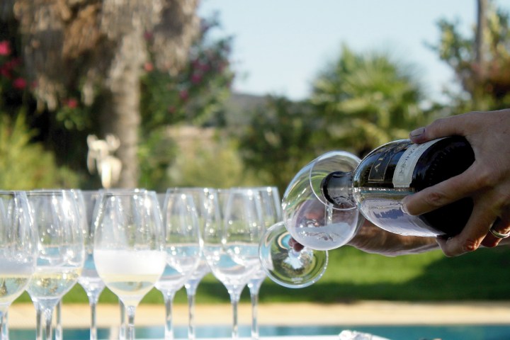 Montemor-o-Novo Wine Tasting