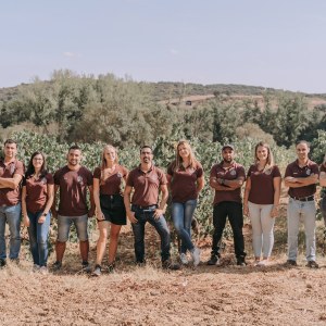 Montemor-o-Novo Wine Tasting