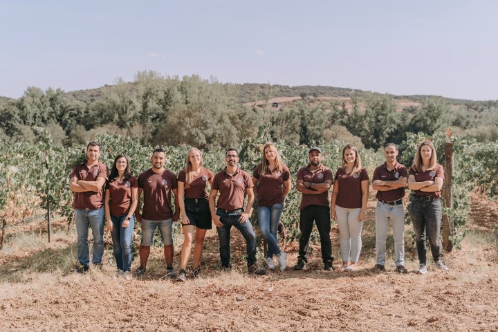 Montemor-o-Novo Wine Tasting