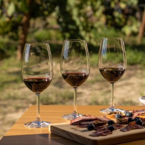 Dão wine terroir tasting