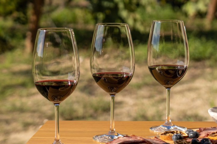 Dão wine terroir tasting