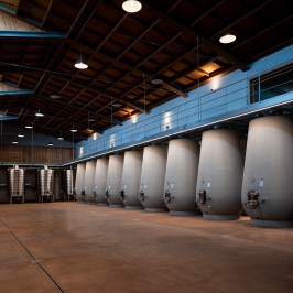 Dão wine terroir tasting