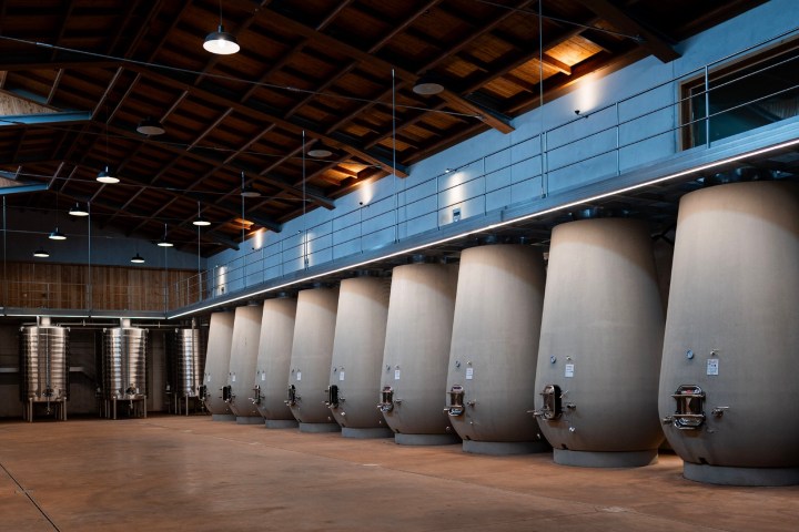 Dão wine terroir tasting