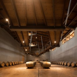 Dão wine terroir tasting