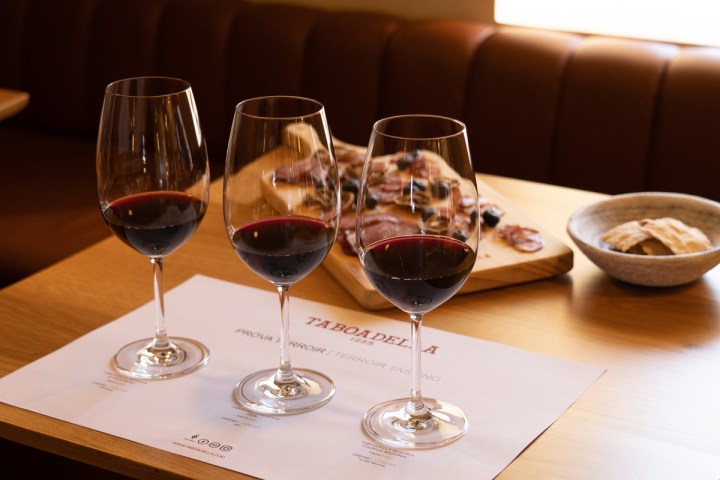 Dão wine terroir tasting