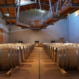 Dão wine terroir tasting