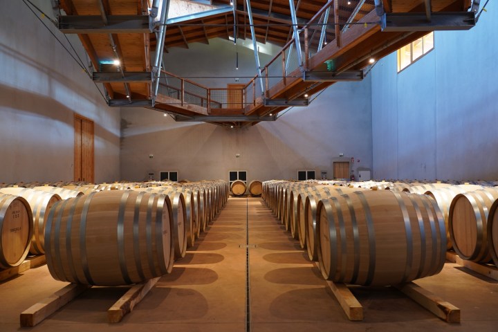 Dão wine terroir tasting