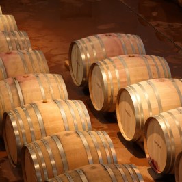 Dão wine terroir tasting