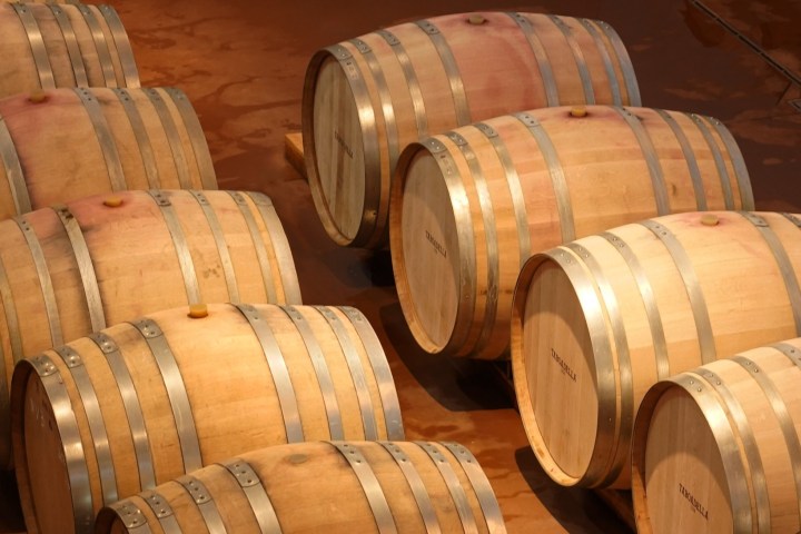 Dão wine terroir tasting