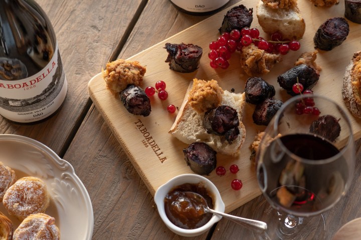 Dão wine terroir tasting