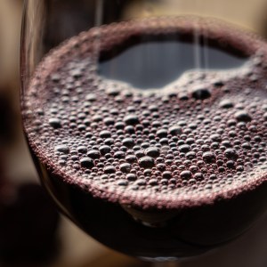 Dão wine terroir tasting