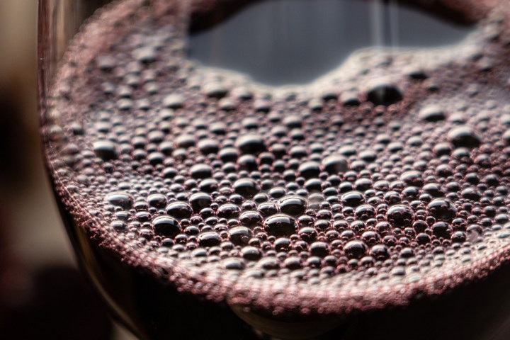 Dão wine terroir tasting