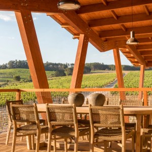 Dão wine terroir tasting