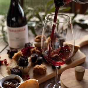 Dão wine terroir tasting