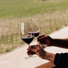 Dão wine terroir tasting