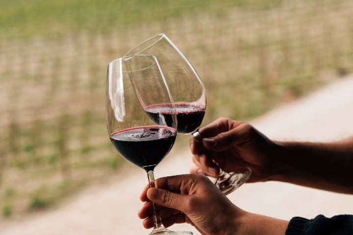 Dão wine terroir tasting