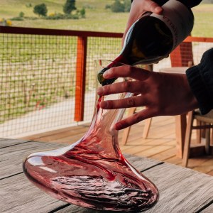 Dão wine terroir tasting