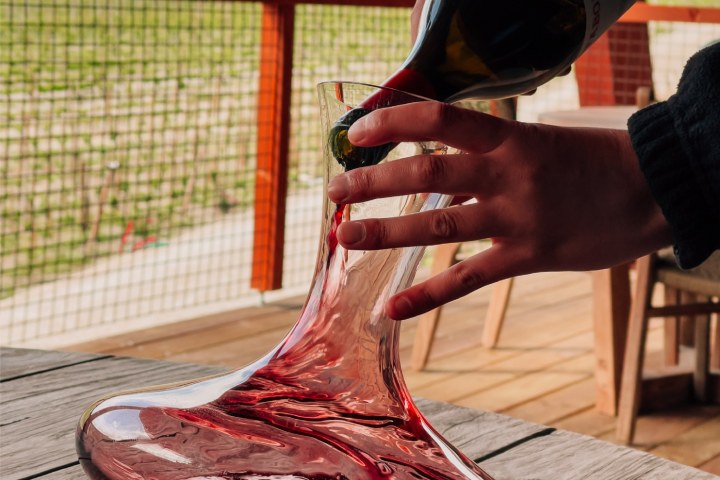 Dão wine terroir tasting