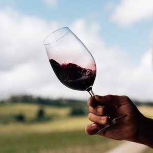 Dão wine terroir tasting