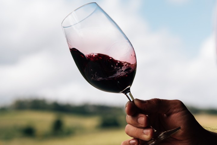 Dão wine terroir tasting