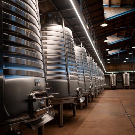 Dão wine terroir tasting