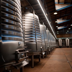 Dão wine terroir tasting