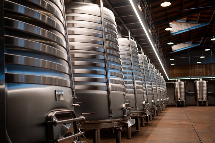 Dão wine terroir tasting