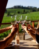 Dão wine terroir tasting