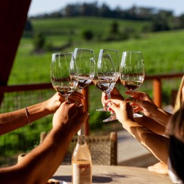 Dão wine terroir tasting