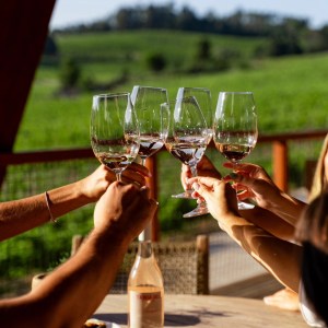 Dão wine terroir tasting